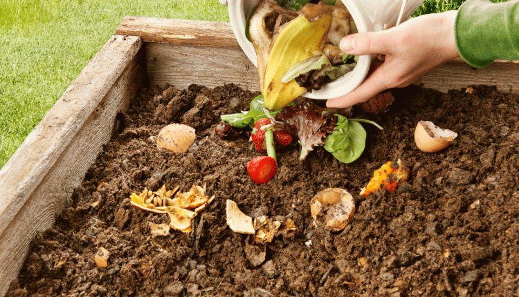 Composting & Soil Improvement Workshop
